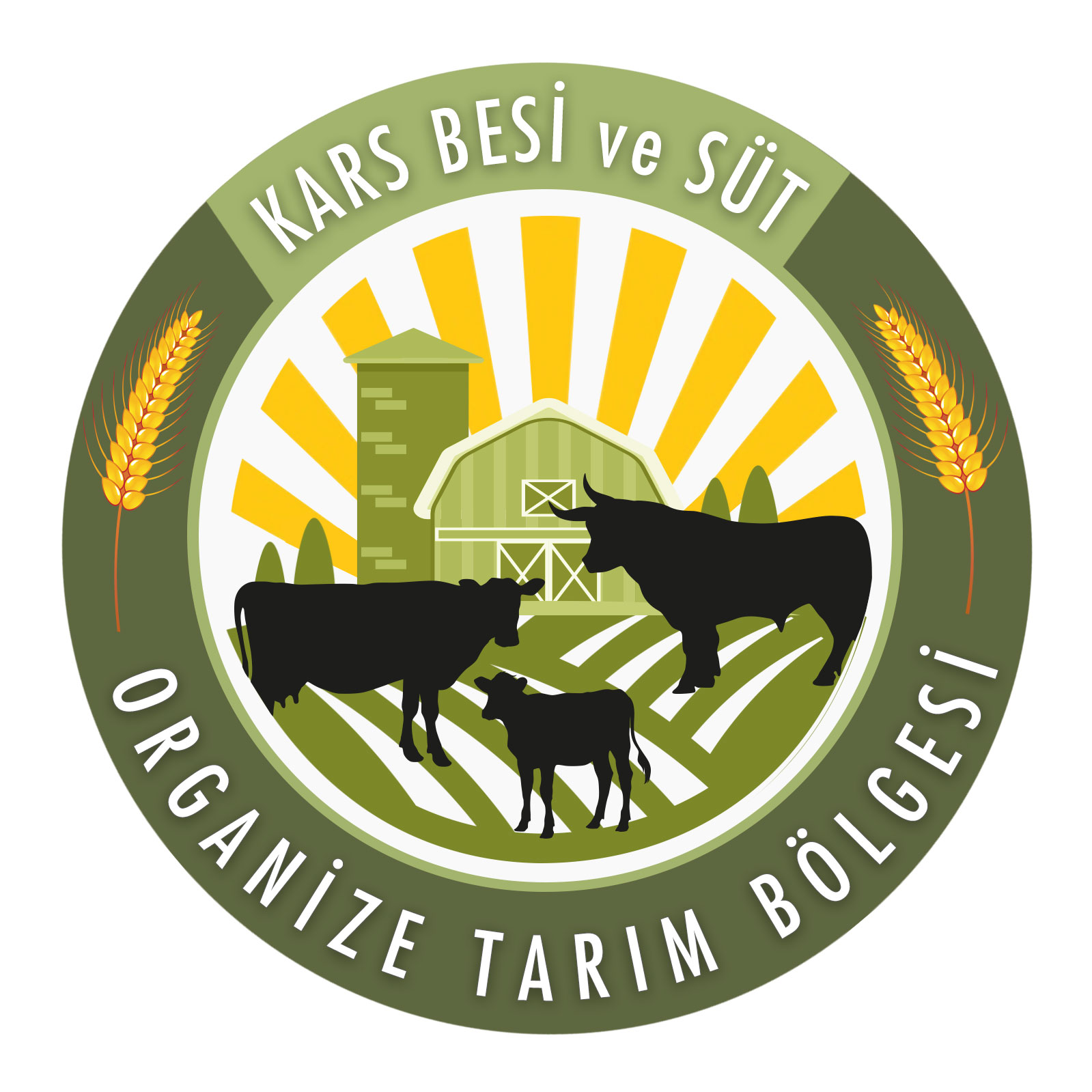 Hakkımızda